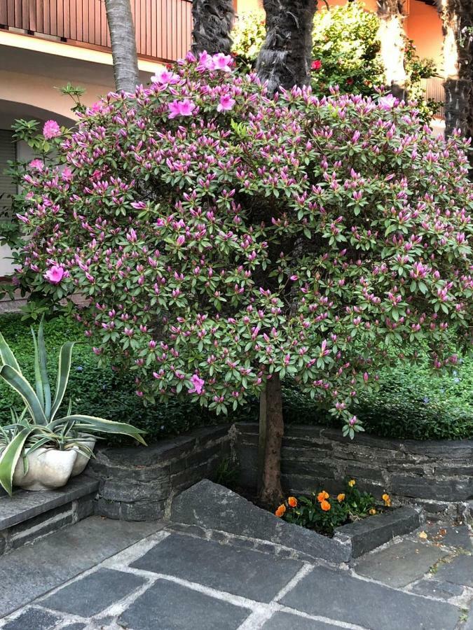 Hotel Garni Florida Ascona